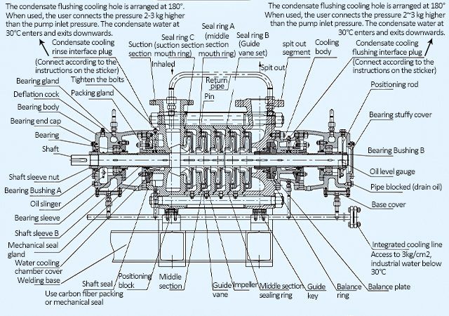 may-bom-cap-nuoc-noi-hoi-kaiquan-loai-dg-12